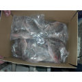 Quality Frozen Black Tilapia Fish WR Tilapia Sale